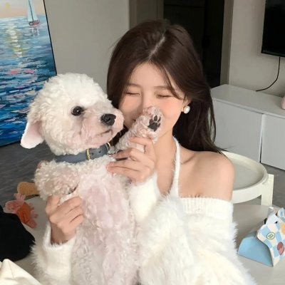 来去美国2